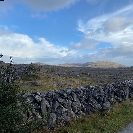 הוילה Boston Burren Garden Glamping Hut מראה חיצוני תמונה